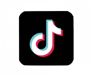 WATERMARK - TIKTOK