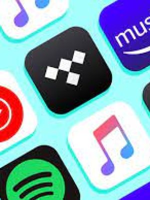 Fanverly Shopping ADS